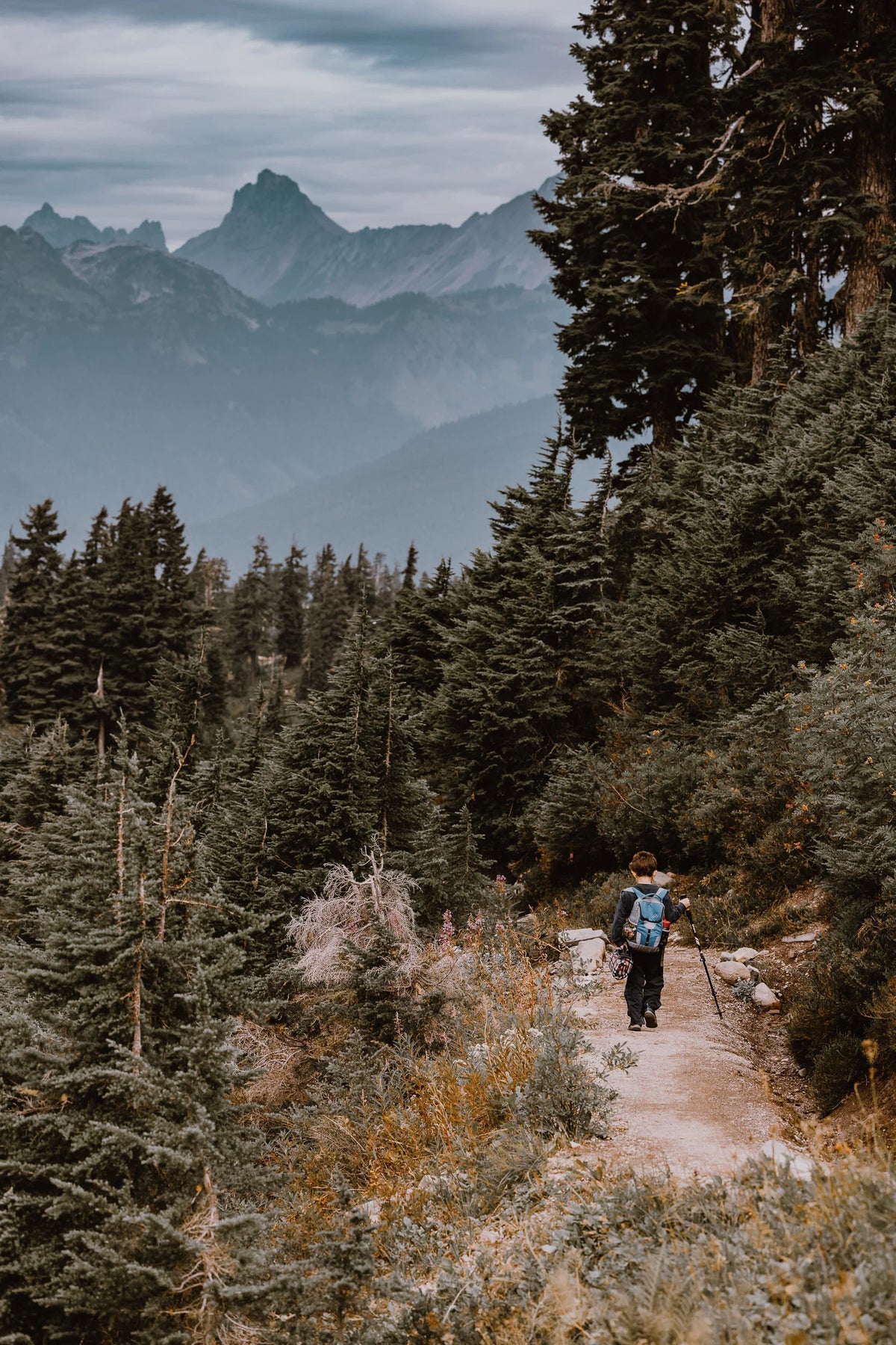 Hiking